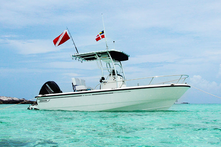 O'Neill Williams on Fishmaster T-Tops